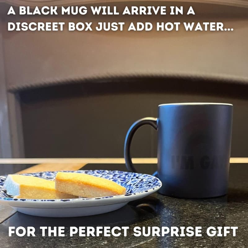 Rainbow Heat Change Mug - Funny Novelty Gift for Pride