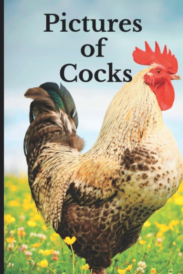 Funny White Elephant Gift: Pictures of Cocks Print