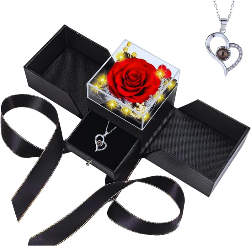 Eternal Red Rose Necklace Gift Set for Her - Romantic Gift