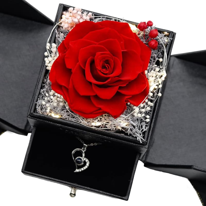 Eternal Red Rose Necklace Gift Set for Her - Romantic Gift