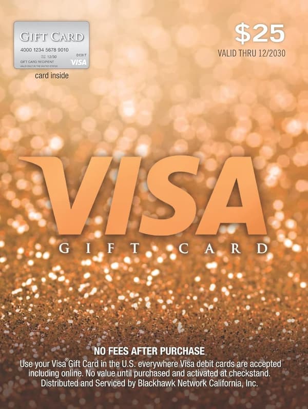 $25 Visa Gift Card (plus $3.95 fee)