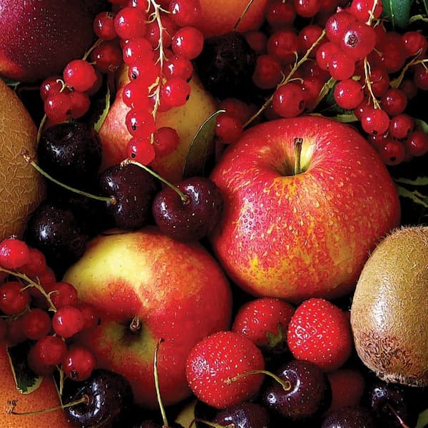 3-Month Gourmet Fruit Subscription Club