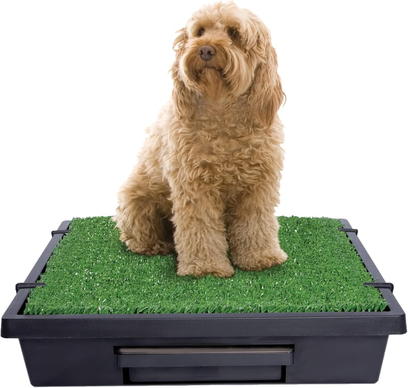 PetSafe Portable Dog Potty - Medium Grass Mat for House Training