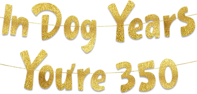 Funny Adult Birthday Banner - 