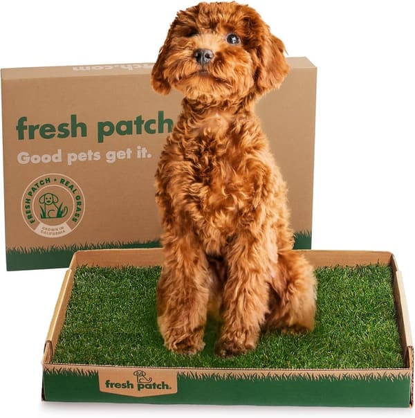 Disposable Real Grass Pee Pads for Dogs & Small Pets - 16