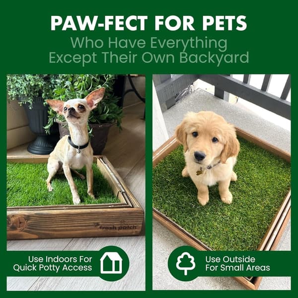 Disposable Real Grass Pee Pads for Dogs & Small Pets - 16