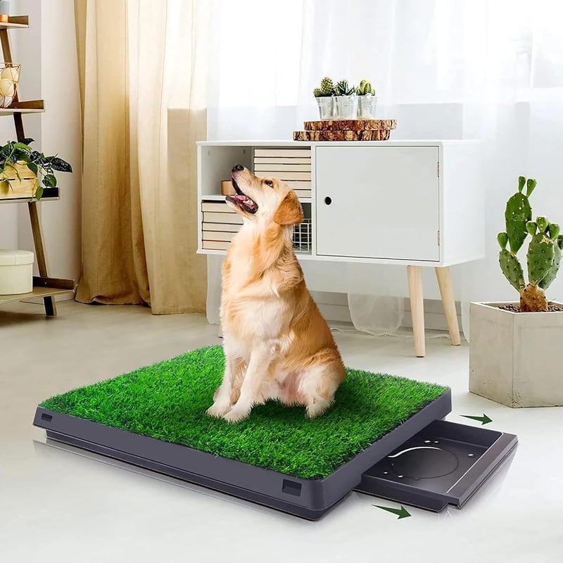 Puppy Training Potty Pad with Tray - Reusable Indoor/Outdoor 25