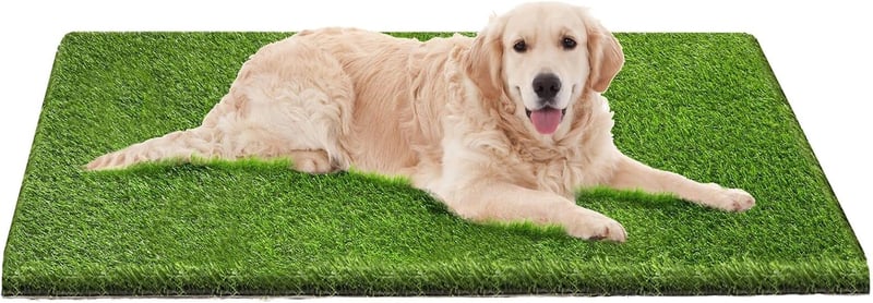 Dog Pee Pad for Potty Training - 51