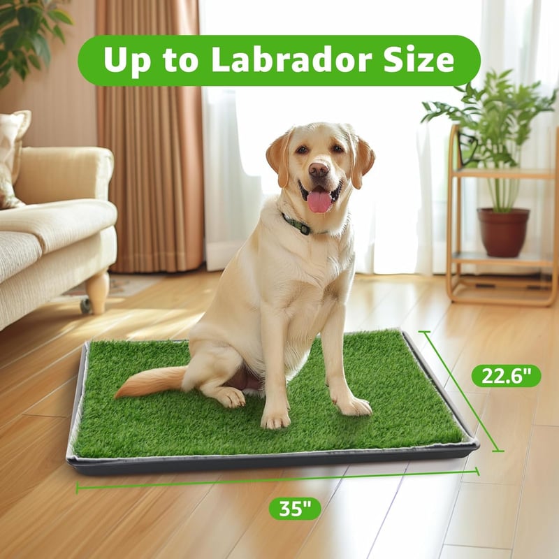 Large Dog Potty Patch - Washable Indoor/Outdoor Artificial Grass