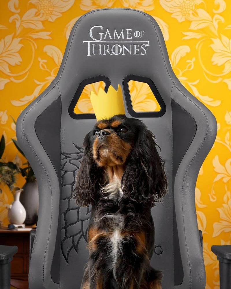 Game of Thrones Gaming Chair - Ergonomic Black Design