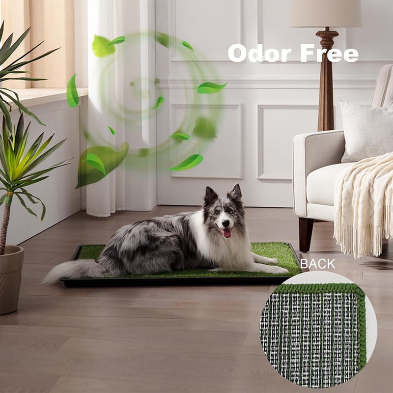 Large Dog Potty Grass Pad with Tray, Odor-Free & Absorbent