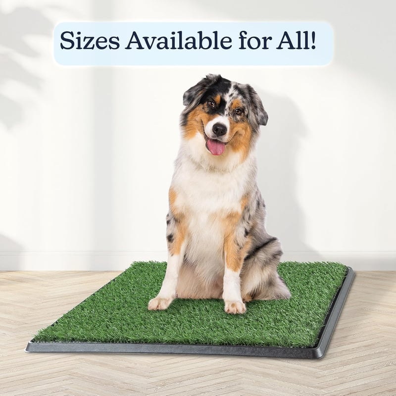 Reusable 3-Layer Potty Training Pad for Dogs and Small Pets