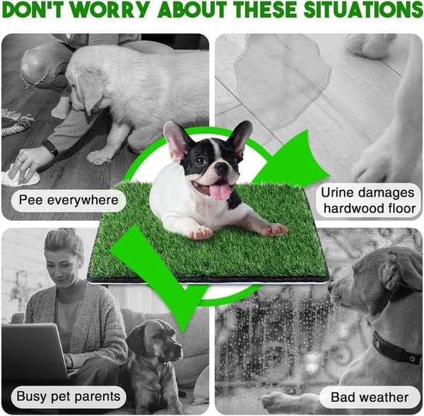 Indoor Dog Toilet Grass Mat - 20x25