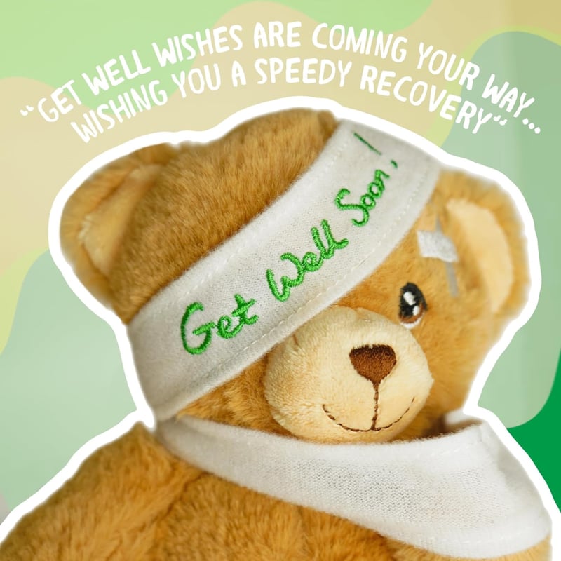 Get Well Soon Eco Plush Toy for Pets