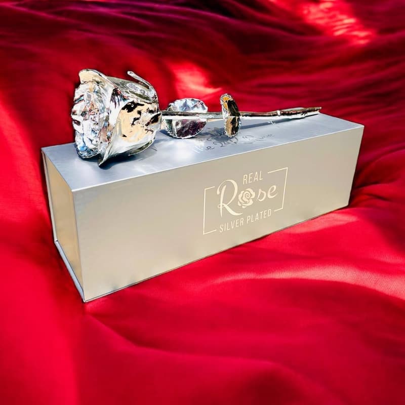 Silver-Dipped Real Rose for Father's Day and Anniversaries