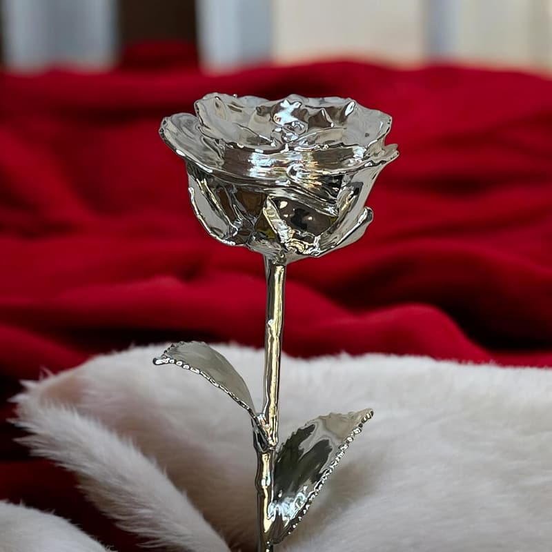 Silver-Dipped Real Rose for Father's Day and Anniversaries