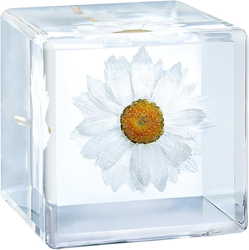 Aesthetic Desk Decor Paperweight with Preserved 3D Flowers