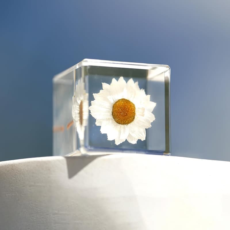 Aesthetic Desk Decor Paperweight with Preserved 3D Flowers