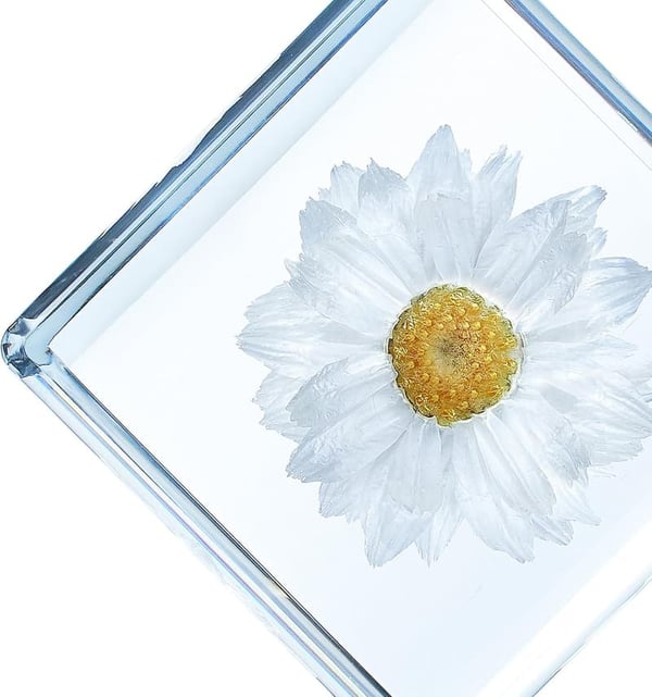 Aesthetic Desk Decor Paperweight with Preserved 3D Flowers