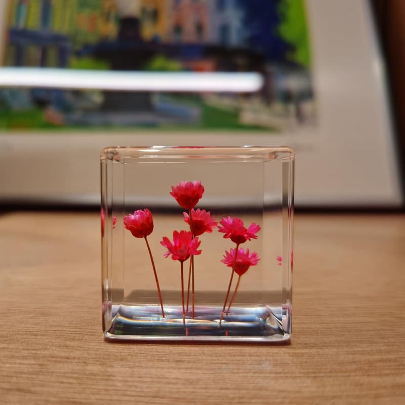 Aesthetic Pink Starflower Resin Cube Paperweight