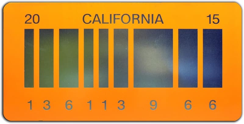 2015 Back to The Future 2 Metal License Plate