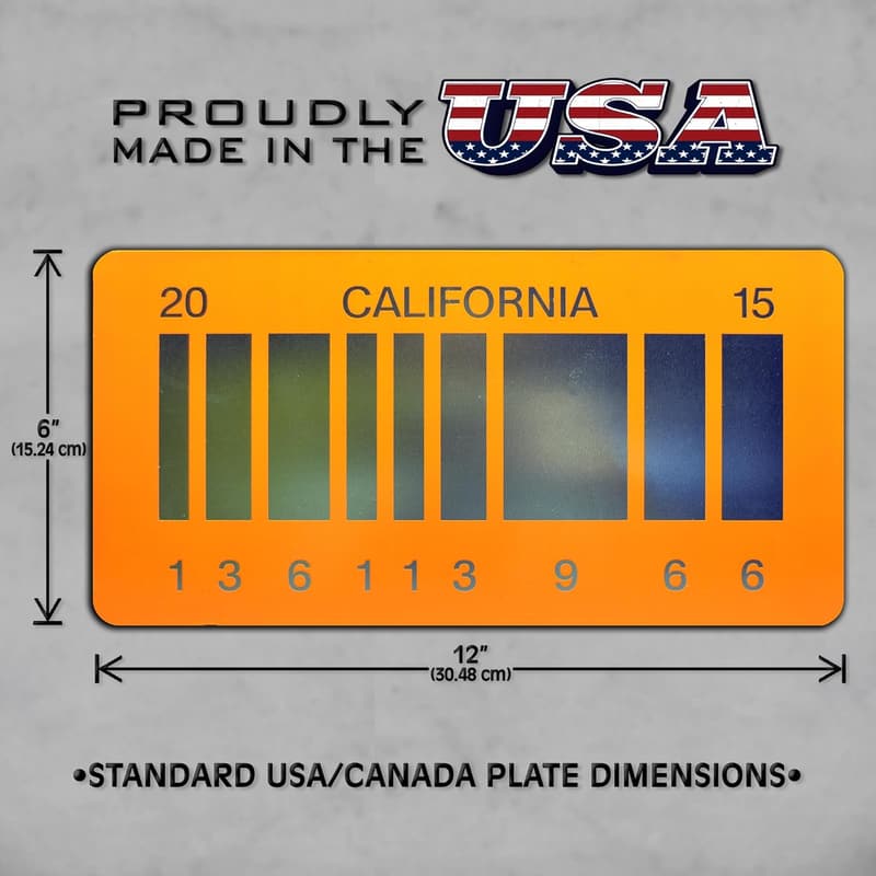 2015 Back to The Future 2 Metal License Plate