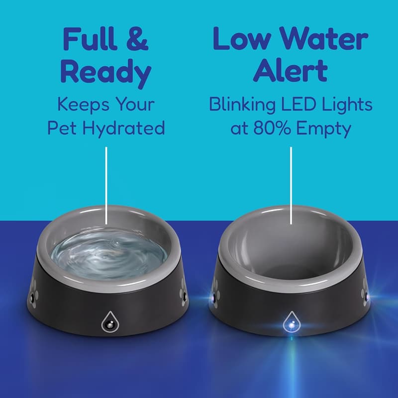LED Water Level Indicator Bowl for Dogs and Cats - 16 oz