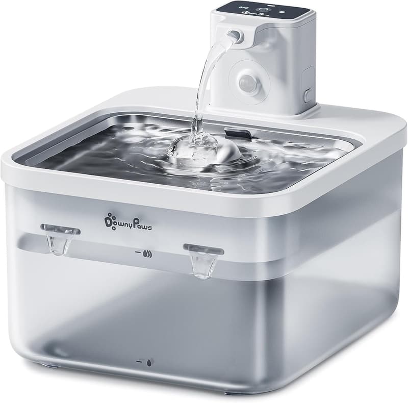 Automatic Stainless Steel Pet Water Fountain for Cats - 84oz