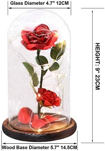 Mother's Day Light-Up Rose in Glass Dome for Mom & Grandma