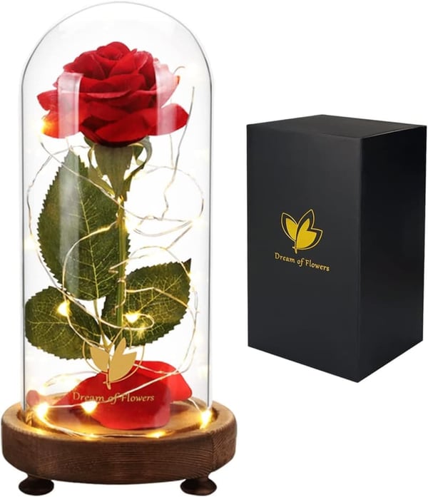 Beauty and The Beast Rose in Glass Dome - Romantic Gift for Mom