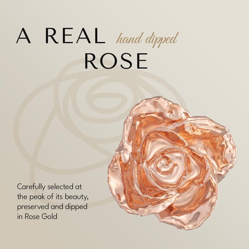 Hand-Dipped 24K Gold Rose in Gold Box - Romantic Gift for Couples