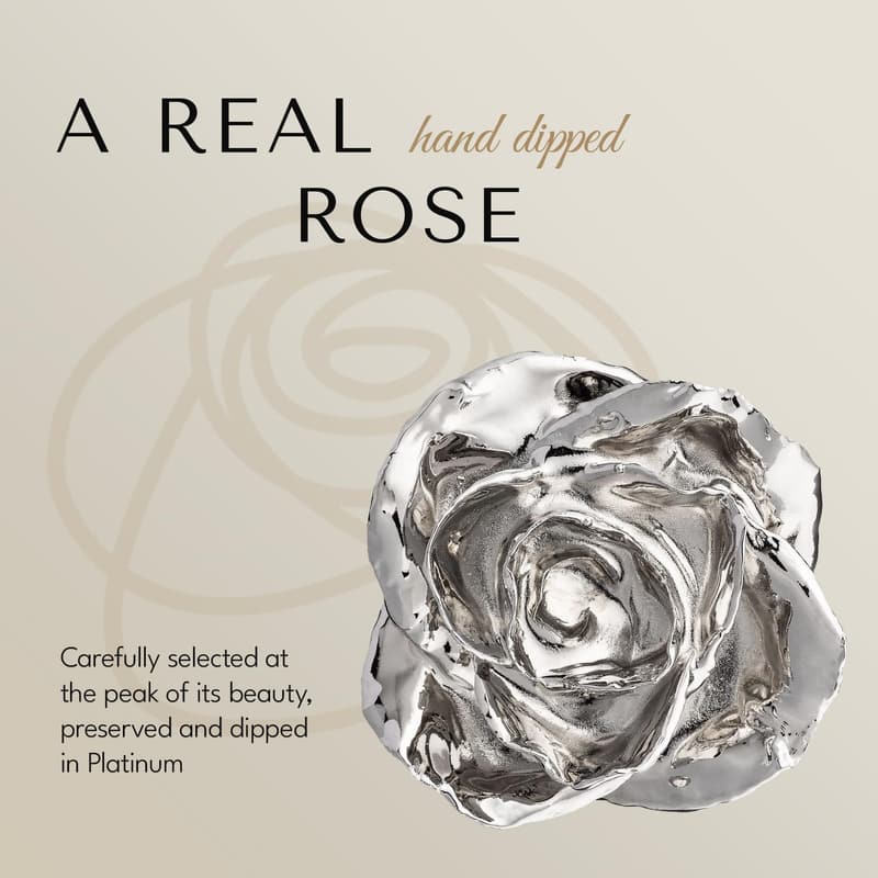Everlasting Platinum Dipped Rose Gift for Couples, Gold Box