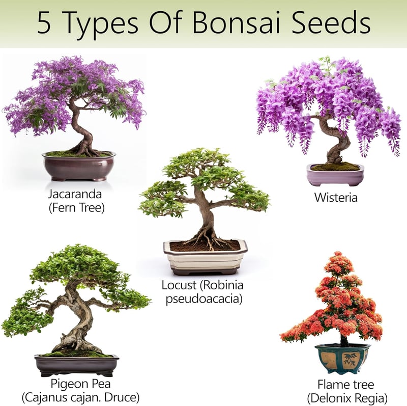 Indoor Bonsai Tree Kit - Grow 5 Unique Japanese Trees
