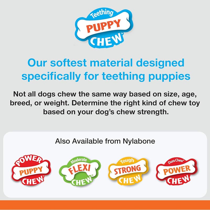 X-Small Nylabone Chicken Flavor Chew Toy for Puppies