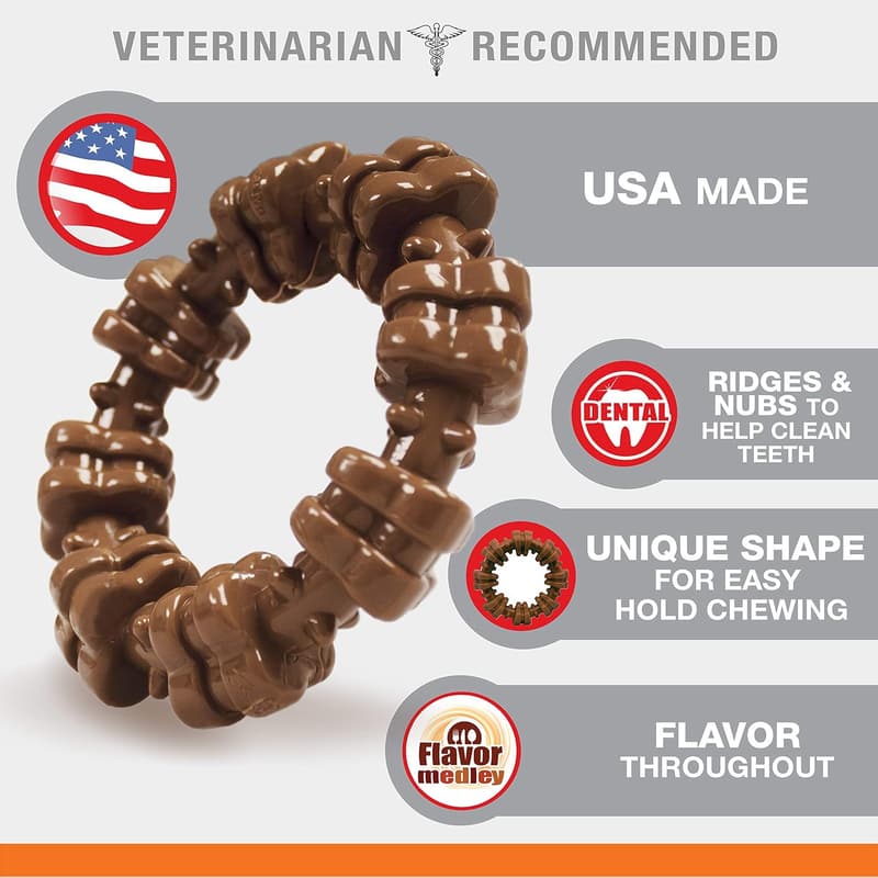 Nylabone Power Chew Toy for Small Dogs, Flavor Medley