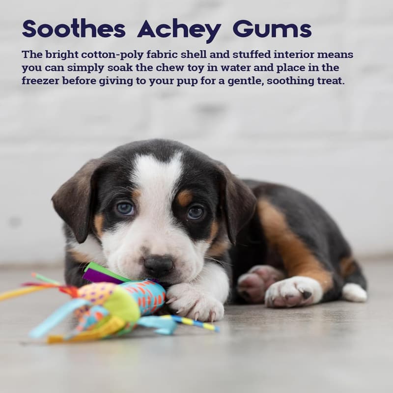 Teething Relief Stick for Dogs - Freezable Chew Toy