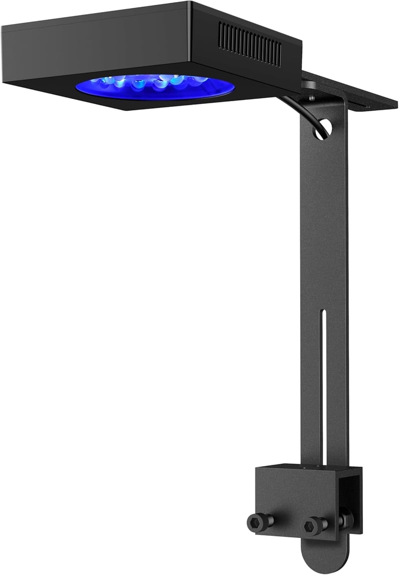 NICREW 65W Reef LED Light for Saltwater Tanks with Timer