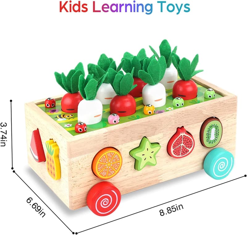 Montessori Wooden Shape Sorting Toys for 1st Birthday Kids