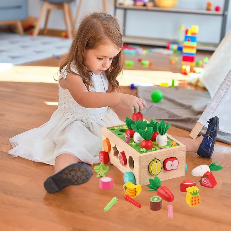Montessori Wooden Shape Sorting Toys for 1st Birthday Kids