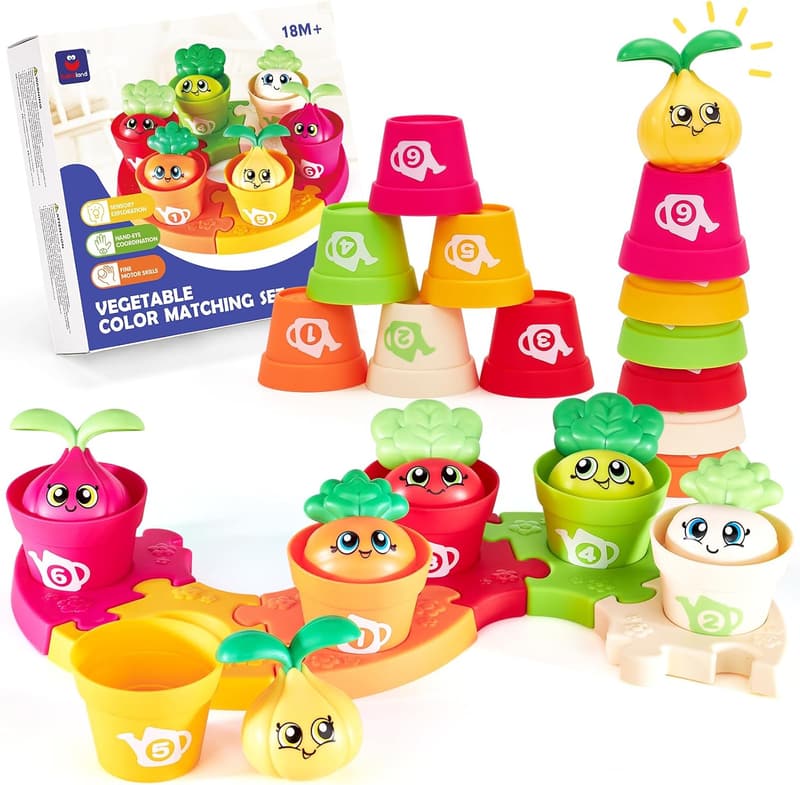 Montessori Color Sorting Puzzle Set for Toddlers 1-3