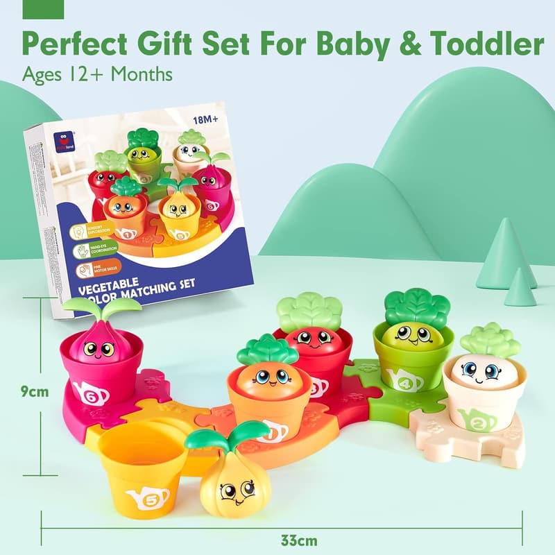 Montessori Color Sorting Puzzle Set for Toddlers 1-3