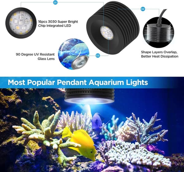 Full Spectrum LED Clip-On Light for Nano Saltwater Aquariums