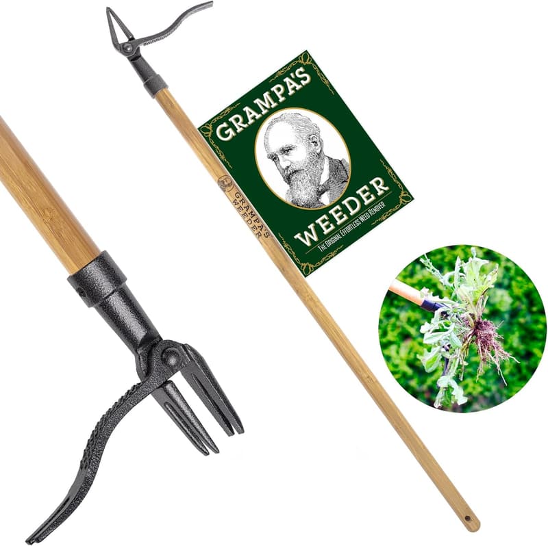 Stand Up Weed Puller Tool - Bamboo Handle & 4-Claw Steel Head