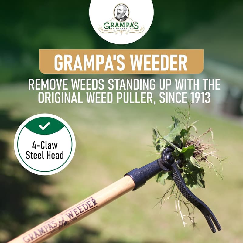 Stand Up Weed Puller Tool - Bamboo Handle & 4-Claw Steel Head