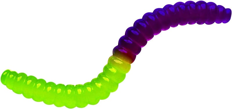STEM Gummy Candy Lab Kit - Make Plant-Based Worms & Spiders