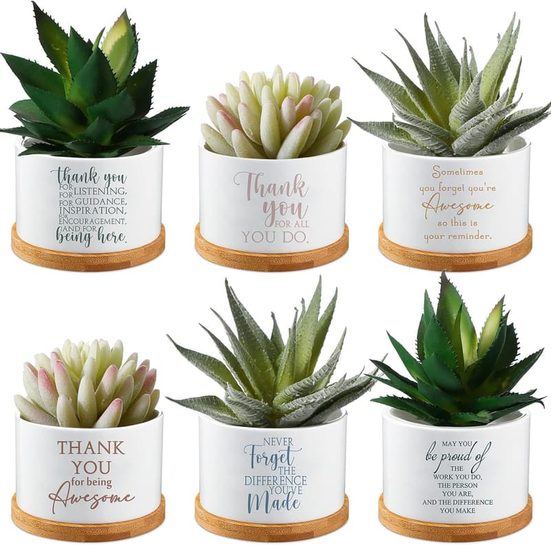Employee Appreciation Ceramic Succulent Planter Set