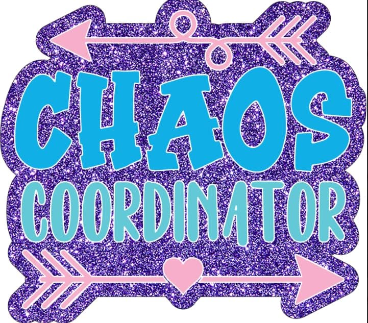 Chaos Coordinator Sticker Set - Thank You Gifts for Women