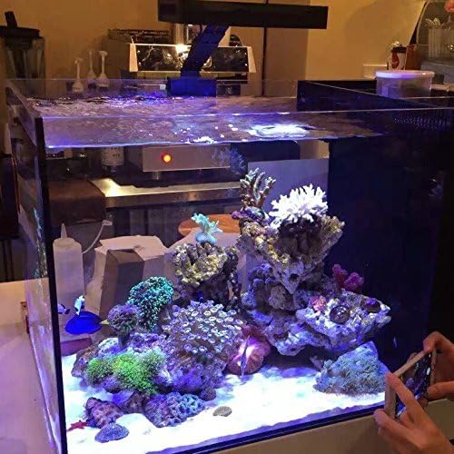 A029 30W LED Aquarium Light for Marine Tanks with Timer