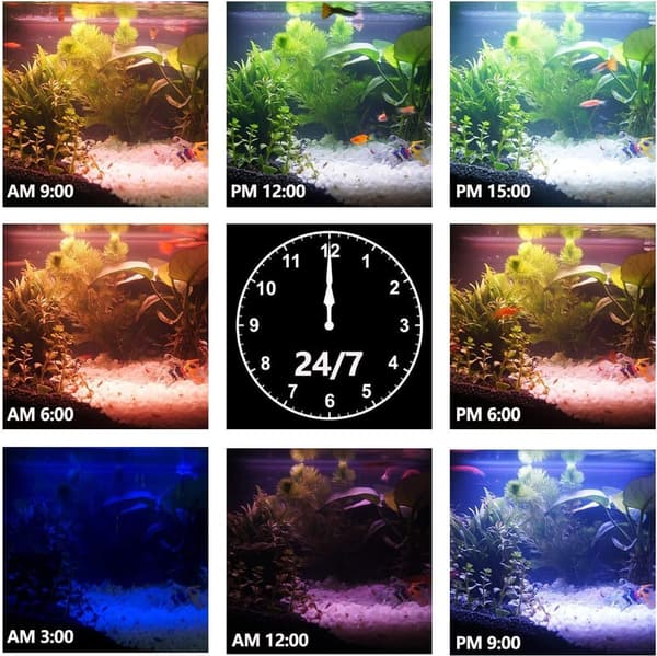 Aquarium LED Clip-On Light with Remote for Fish and Plants