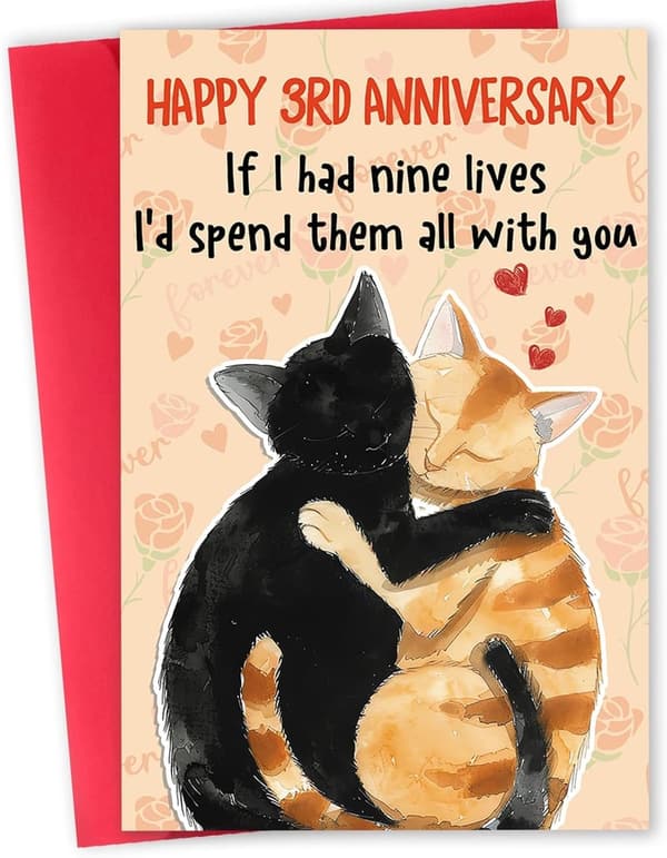 3rd Anniversary Funny Card for Couples